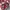 VANS Casual Sneakers Pria red photo 2