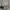 Coach Teri Shoulder Bag Signature Canvas (white) 