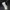 Guess Streetwear Y2K Fleece Pria navy photo 8