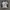 KARMA Y2K LONGSLEEVE SIZE M photo 1