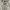 DSQUARED2 Luxury Avant Garde Hoody Pria gray photo 5