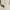 Neil Barrett Luxury Avant Garde T-shirt Pria white cream photo 3
