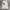 Neil Barrett Luxury Avant Garde T-shirt Pria white cream photo 1