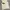 Neil Barrett Luxury Avant Garde T-shirt Pria white cream photo 2