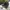 Converse Casual Sneakers Pria White Black