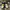 AIR JORDAN 1 NOT FOR SALE YELLOW , AIR JORDAN NOT FOR SALE N