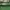 Cotton On Coquette Casual Casual dress Wanita green photo 3
