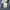 Levi’s 501 90’s straight leg - size 28 photo 8