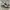 ADIDAS SAMBA OG LACE FLOWER WHITE BALLET GUM photo 1