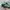 Adidas Collegiate Green Gum photo 2
