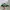 Adidas Collegiate Green Gum photo 1