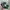 Adidas Collegiate Green Gum photo 3