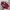 Adidas Spezial Red Scarlett photo 3