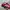 Adidas Spezial Red Scarlett photo 2