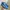 Adidas Spezial Ice Blue photo 2