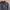 Jaket kulit asli L domba jaket motor biker single rider photo 1