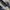 Trip LE Sens Tie-dye crochet half shirt_NAVY photo 7