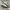 ADIDAS SAMBA OG WONDER QUARTZ photo 1