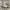 NIKE AIR JORDAN 1 LOW  photo 1