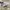 NIKE AIR JORDAN 1 LOW  photo 4