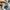 NIKE AIR JORDAN 1 LOW  photo 7