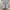 NIKE AIR JORDAN 1 LOW  photo 5