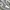 NIKE AIR JORDAN 1 LOW  photo 2