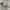 NIKE AIR JORDAN 1 LOW  photo 4