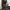 CARGO PANTS VIALLI BROWN
 photo 1
