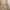 CARGO PANTS VIALLI BROWN
 photo 7