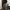 CARGO PANTS VIALLI BROWN
 photo 2