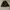 luckyvim jungle outer photo 2