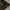 luckyvim jungle outer photo 6