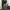 CARGO PANTS ARMY MULTIPOCKET photo 1