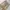CARGO PANTS TACTICAL SERIES BROWN
 photo 4