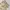 CARGO PANTS TACTICAL SERIES BROWN
 photo 5