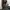 CARGO PANTS TACTICAL SERIES BROWN
 photo 1