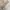 CARGO PANTS TACTICAL SERIES BROWN
 photo 8
