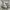 ADIDAS CAMPUS 00s  photo 1