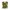 Green coquette photo 1
