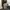 CARGO PANTS ARIZONA photo 1
