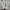 NIKE AIR JORDAN 1 LOW photo 5