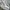 NIKE AIR JORDAN 1 LOW photo 2