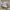 NIKE AIR JORDAN 1 LOW photo 1
