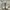 NIKE AIR JORDAN 1 LOW photo 3