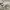 NIKE AIR JORDAN 1 LOW photo 4