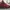 Nike Jordan 13 Retro Single Day photo 1