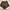 Cotton on brown shorts photo 4