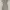 Pull&bear Bodycon Dress