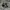 ADIDAS SPEZIAL BLACK WHITE photo 1